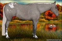 Horse Color:Silver Black Sabino Snowcap Rabicano 