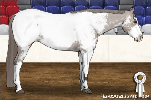 Horse Color: Brown Dun Sabino Snowcap Rabicano 
