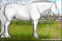 Horse Color:Silver Classic Cream Champagne Pearl Dun Blanket Rabicano 
