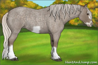 Horse Color:Silver Smoky Blue Roan Splash Frame Rabicano 
