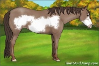 Horse Color:Classic Champagne Frame 