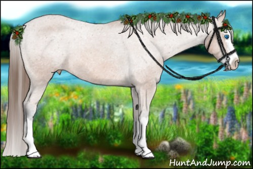 Horse Color: Bay Sabino Splash Varnish 