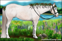 Horse Color:Bay Sabino Splash Varnish 
