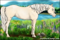 Horse Color:Palomino Pearl