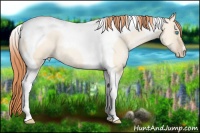 Horse Color:Amber Champagne Pearl Dun Tobiano 