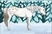 Horse Color:Bay Roan Dun Splash Appaloosa 