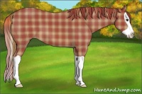 Horse Color:Plaid Chestnut Splash