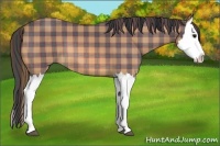 Horse Color:Plaid Bay Splash