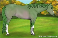 Horse Color:Watercolor Buckskin 