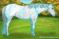 Horse Color:Thunderstruck Bay Snowcap 