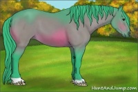 Horse Color:Watercolor Bay 