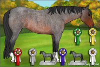 Horse Color:Brown Roan