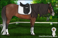 Horse Color:Bay Splash 