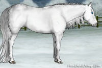 Horse Color:Gray White Spotted Black Splash Frame 