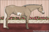 Horse Color:Silver Smoky Grullo Frame 
