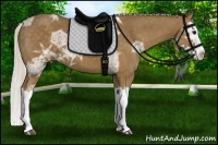 Horse Color:Silver Smoky Black Ice Splash 