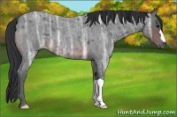 Horse Color:Brown Ice Roan 