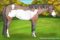 Horse Color:Brown Frame Snowcap 