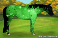 Horse Color:ERROR: UNKNOWN ANOMALY
