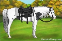 Horse Color:Black Splash Tobiano Blanket 