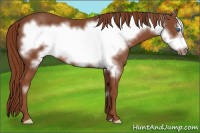 Horse Color:Liver Chestnut Frame 
