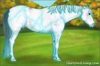 Horse Color:Thunderstruck White Spotted Black Sabino Blanket Rabicano 