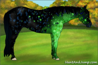 Horse Color:ERROR: UNKNOWN ANOMALY