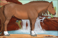 Horse Color:Liver Chestnut 