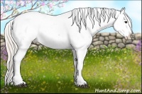 Horse Color:Silver Brown Roan Appaloosa 