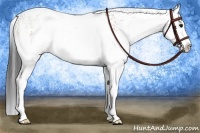 Horse Color:White Spotted Bay Splash 