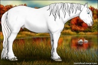 Horse Color:Perlino Appaloosa