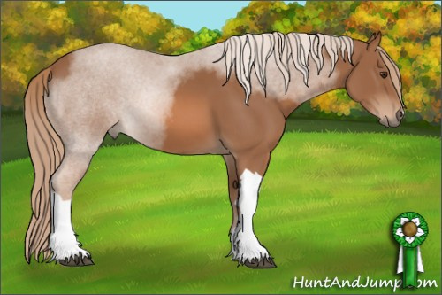 Horse Color: Chestnut 