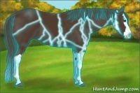 Horse Color:Thunderstruck Liver Chestnut Splash 