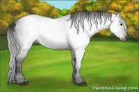 Horse Color:Gray Plaid  Black 