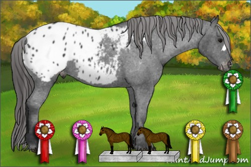 Horse Color: Brown Blanket 