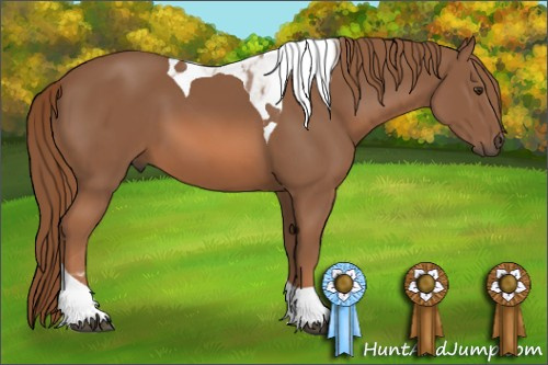 Horse Color: Liver Chestnut Tobiano 