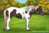 Horse Color:Liver Chestnut Tobiano 