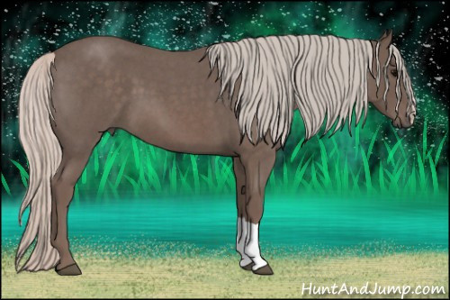 Horse Color: Silver Blue Roan 