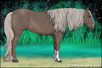 Horse Color:Silver Blue Roan 