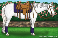 Horse Color:Perlino Sabino 