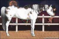 Horse Color:White Spotted Brown Splash Frame 