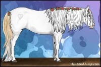 Horse Color:Buckskin Dun Splash Blanket 