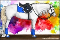 Horse Color:Buckskin Roan Dun Splash Tobiano Near Leopard Rabicano 