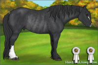 Horse Color:Brown Rabicano