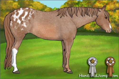 Horse Color: Chestnut Varnish Rabicano 