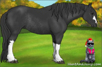 Horse Color:Brown Rabicano