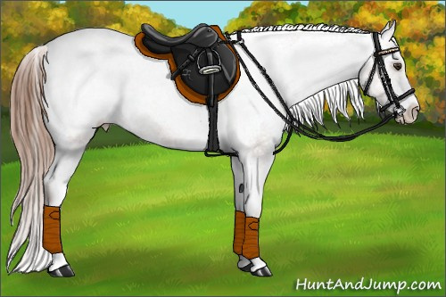 Horse Color: White Spotted Liver Chestnut Snowcap 