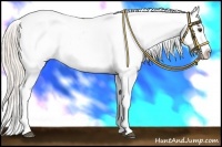 Horse Color:Silver Bay Dun Blanket 