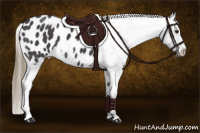 Horse Color:Smoky Blue Roan Sabino Appaloosa 