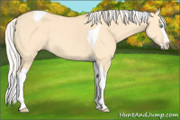 Horse Color:Silver Amber Cream Champagne Dun Splash Tobiano 